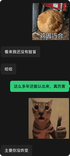 Pasted image 20261015234245